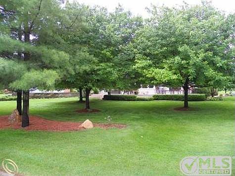 Private Backyard.jpg