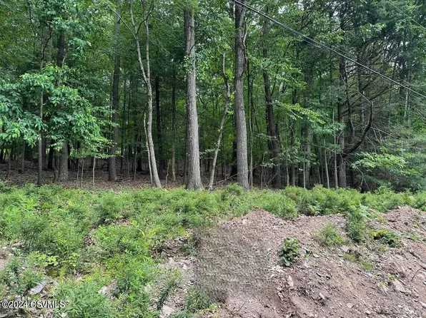 Hemlock Springs Dr, Shickshinny, PA 18655