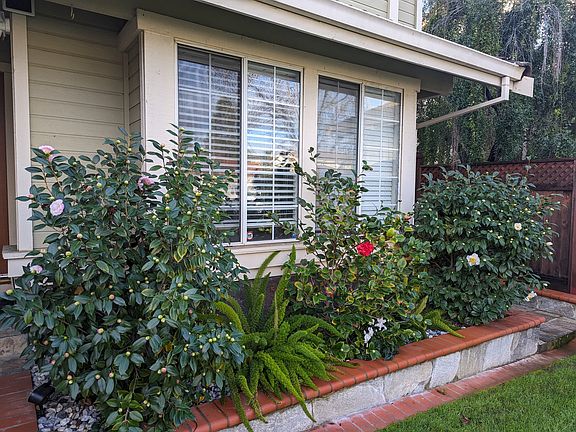3rd image of 368 Pecan Pl
