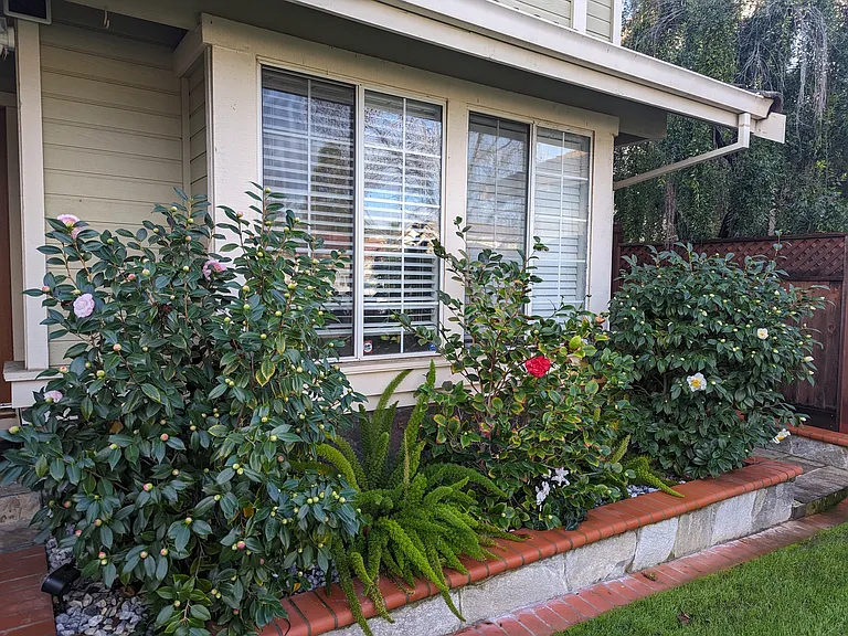 368 Pecan Pl — Photo 3