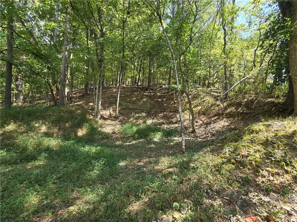 Council St #3, Eureka Springs, AR 72632