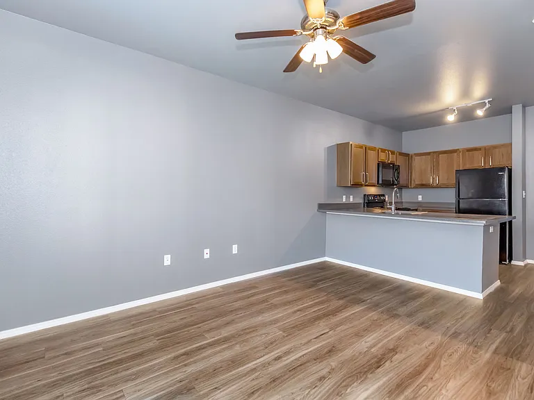 Falcon Studio 495 sq ft Kitchen