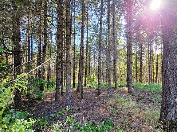 3rd image of 86820 Northill Ranch Rd
