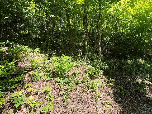 4th image of LOT 38 Middle Ridge Dr
