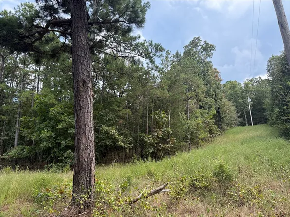 12135 Wildcat Hollow Rd #1, Dardanelle, AR 72834