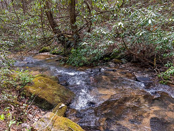 5th image of TBD Diamonds Creek Road