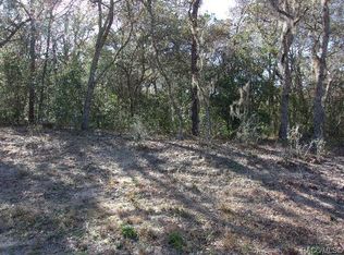 46 S Fitzpatrick Ave, Inverness, FL 34453