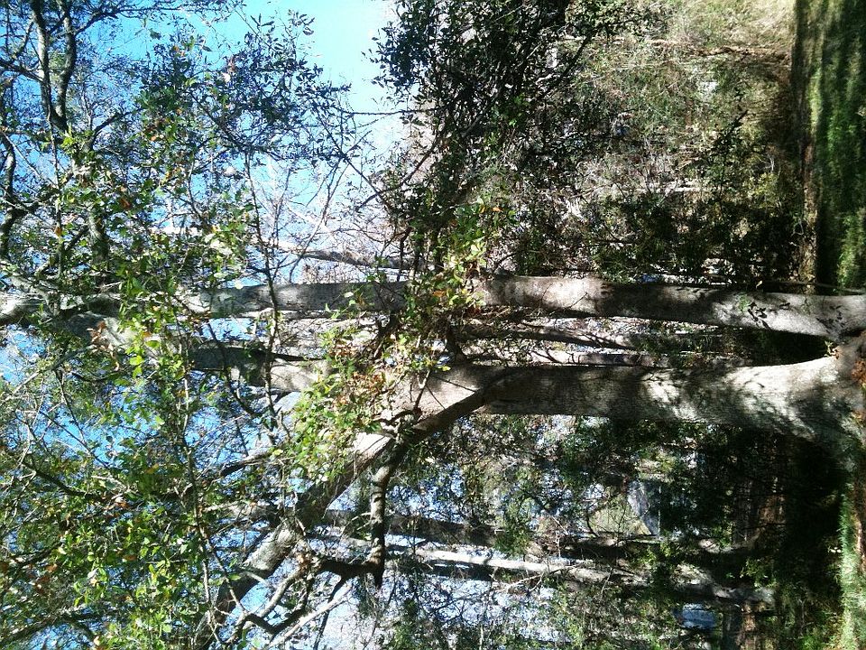 1st image of 0 Bradford Avenue