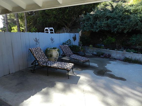 back yard