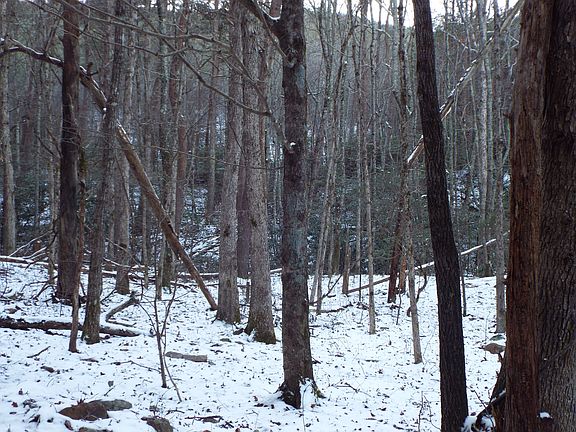 3rd image of County Road 875
