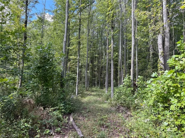 Center Rd, Conneaut, OH 44030