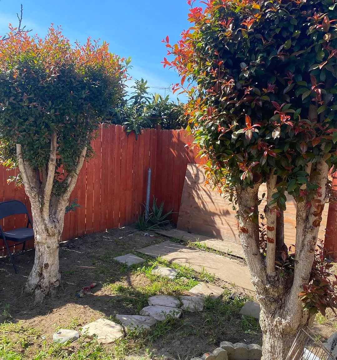 2 bed, 1100 sqft, $2,800 — Photo 3