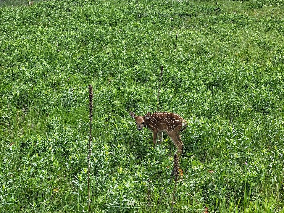 1st image of 166 Mary Ann Creek Rd