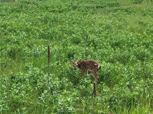 166 Mary Ann Creek Rd, Oroville, WA 98844