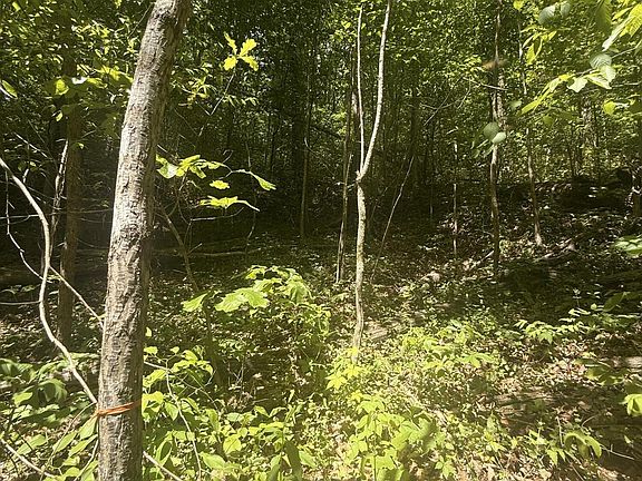 5th image of 4045 Suttons Rd Lot 4