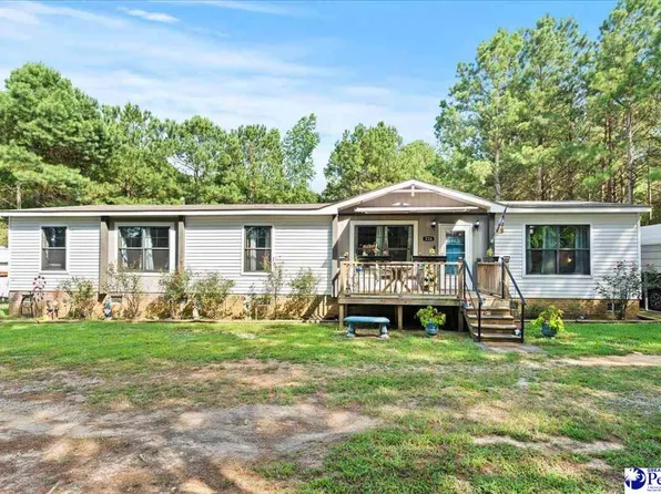 224 Coxe Rd E, Blenheim, SC 29516