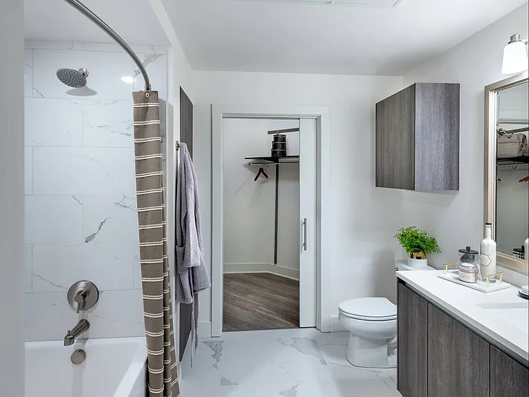 Luxurious Bathroom