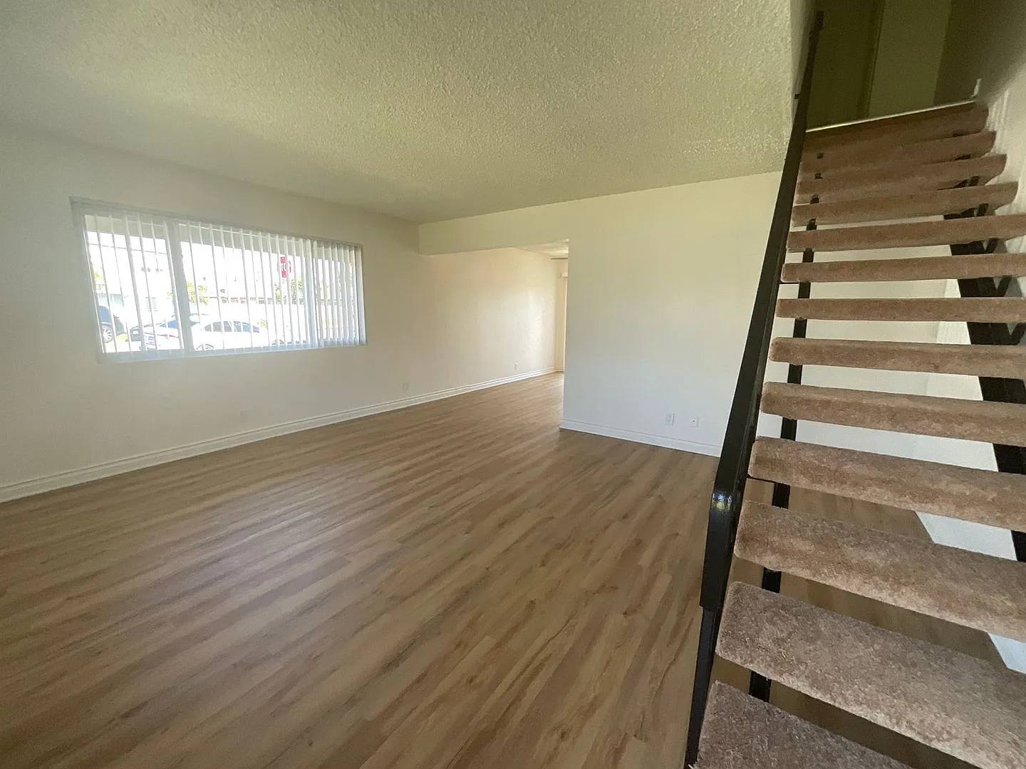 BAILEY12161 — Photo 3
