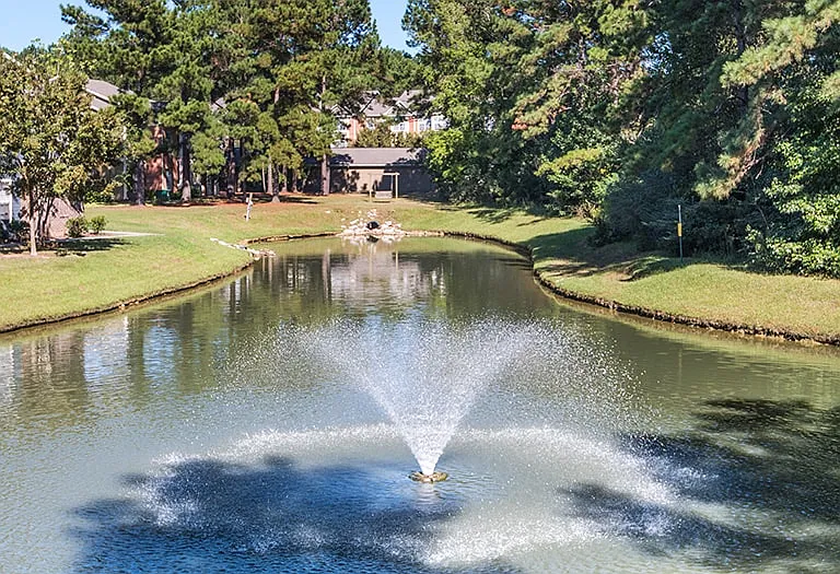 MAA Farm Springs — Photo 2