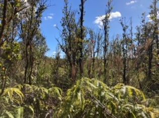 Laupaka Rd LOT 21, Volcano, HI 96785