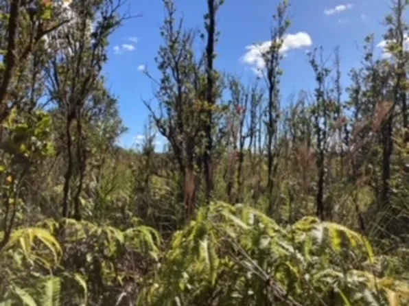 Laupaka Rd Lot 21, Volcano, HI 96785