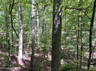 1 Bethel Church Rd, Holcomb, MS 38940