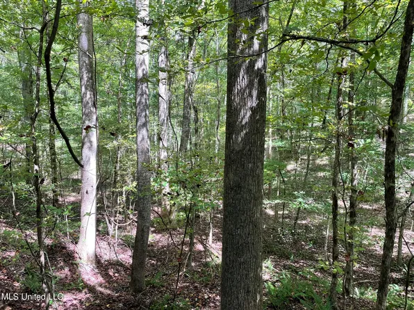 1 Bethel Church Rd, Holcomb, MS 38940