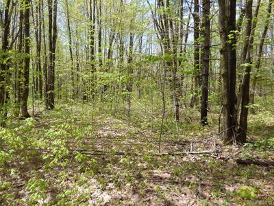 0 Valleywood Cir, Elmira, MI, 49730