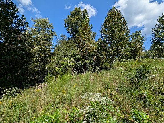 5th image of 331 Ridgetop Rd Lot 11