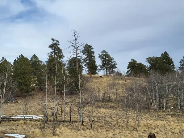 1167 Kiowa St, Como, CO 80456