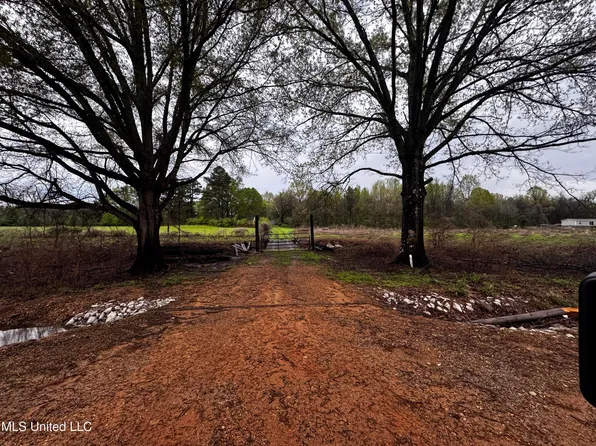 4595 Lucius Taylor Rd, Como, MS 38619