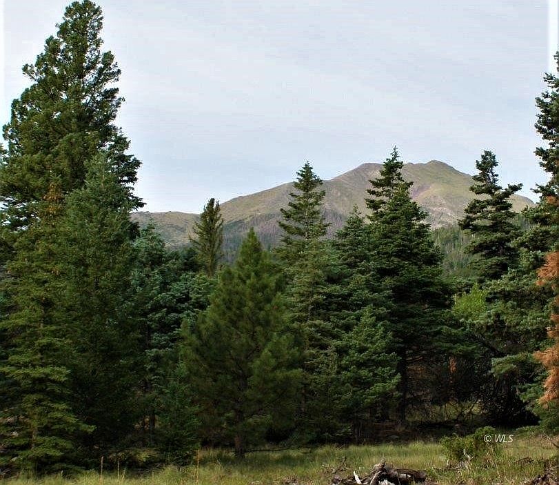 1st image of 69 Gibson Rd
