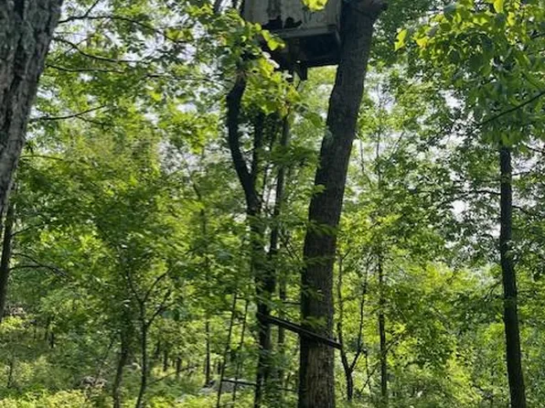 Reed Rd, Knoxville, MD 21758