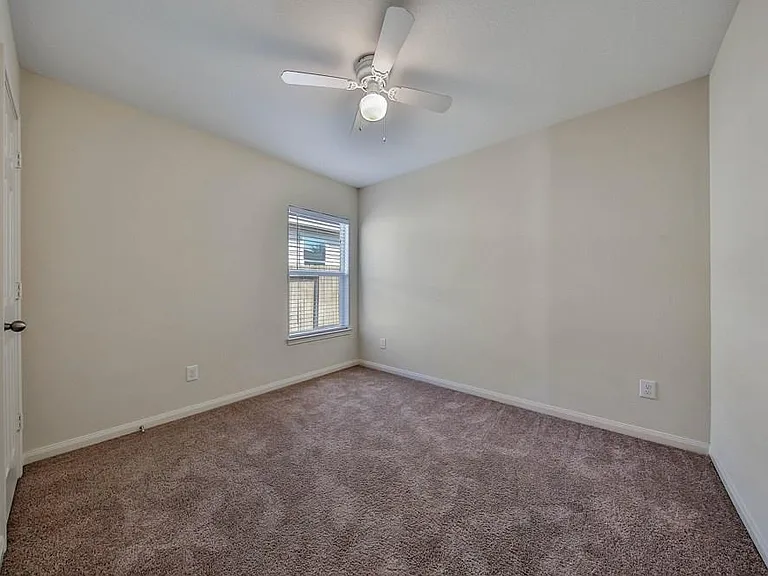 315 Pine Mist Ln — Photo 22