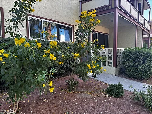 350 E Desert Inn Rd #C103 Photo 1
