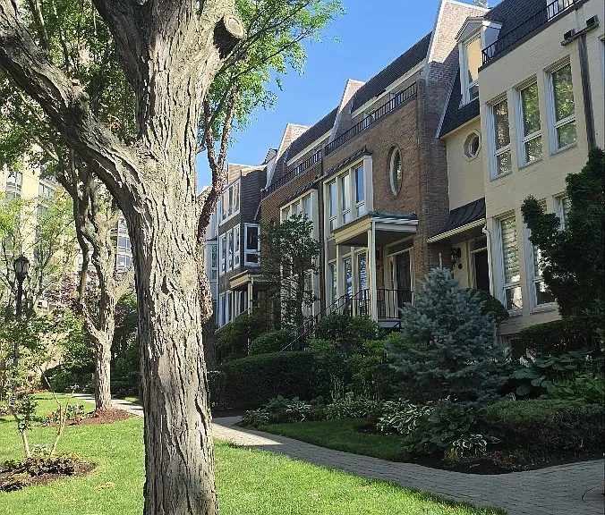 5 Kings Ct — Photo 29