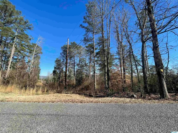 3575 Scenic Hwy, Gadsden, AL 35904