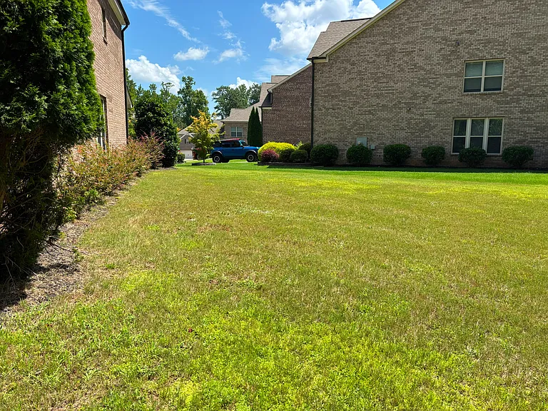 2035 Davallia Ct — Photo 12
