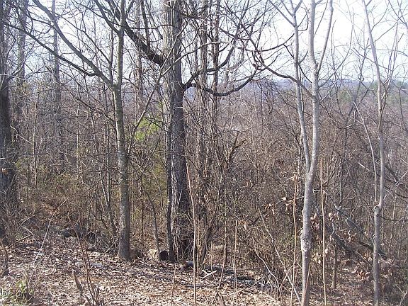 4th image of LOT 142 Low Valley Rd