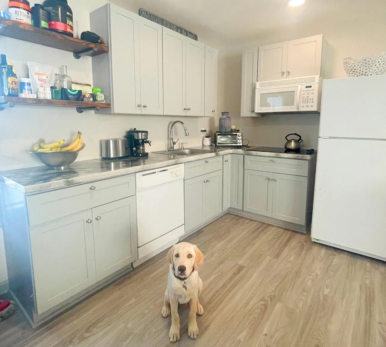 Studio, 530 sqft, $1,500 — Photo 1
