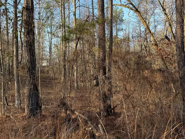 3 Cherry Blossom, Sparta, GA 31087