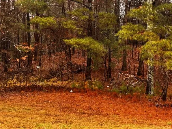 0 Talona Rd, Ellijay, GA 30540