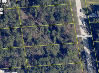 15107 Canvasback Rd, Brooksville, FL 34614