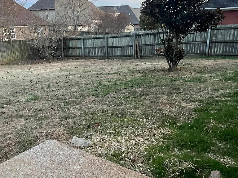 168 Fawn Ridge Dr — Photo 30
