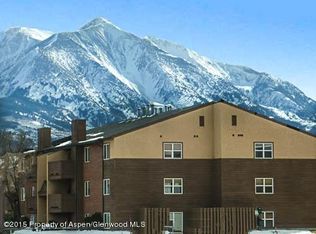 82 Roaring Fork Ave APT A4, Carbondale, CO 81623