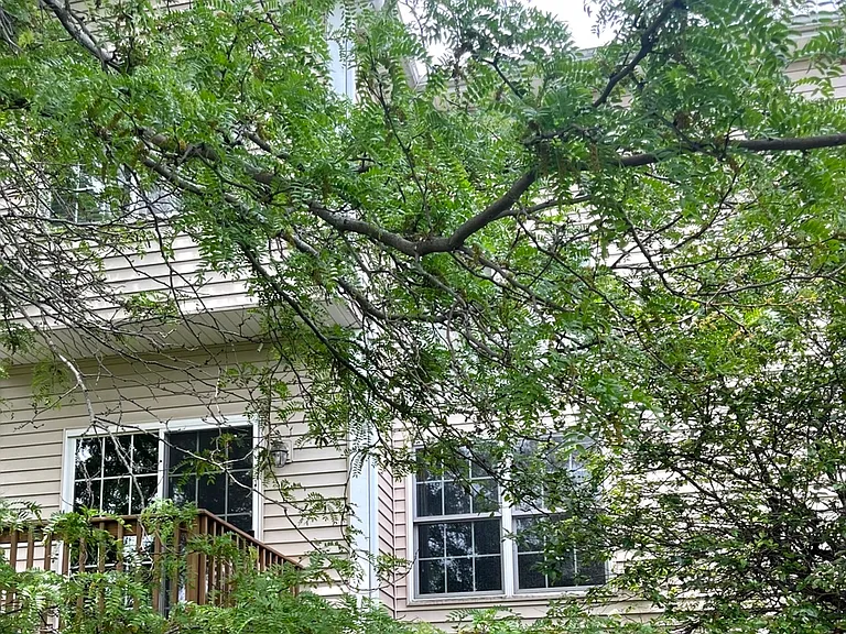 1342 N Winslowe Dr — Photo 17