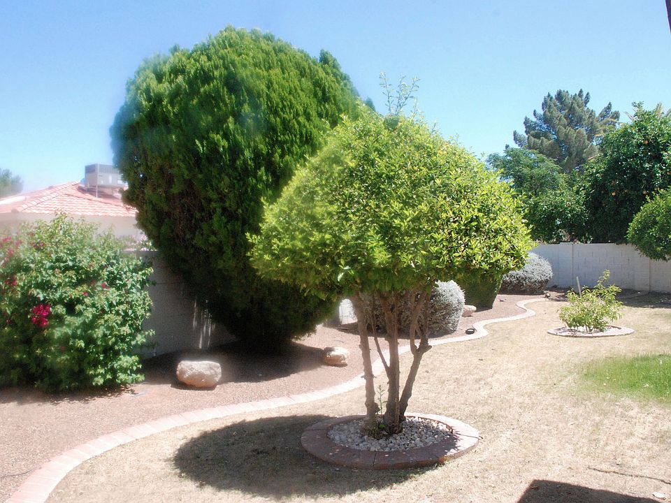Relaxing yard