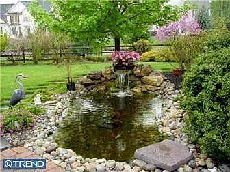 Koi Pond in the back