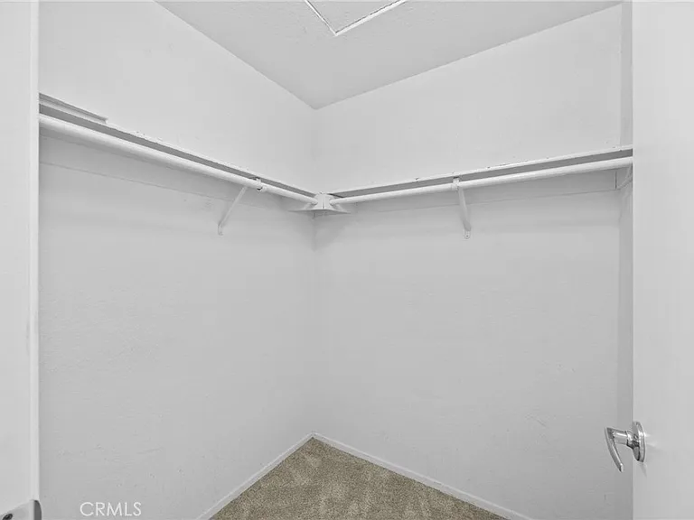 7 Cetrino — Photo 22