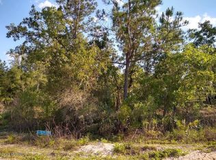 118 Paris St, Interlachen, FL 32148